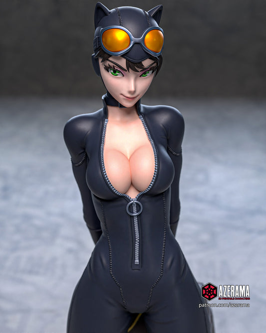 Catwoman (Batman) NSFW