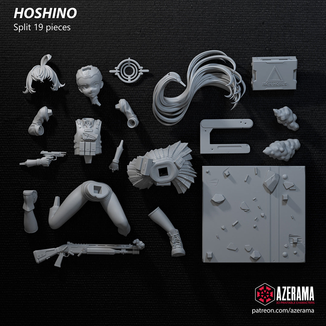 Takanashi Hoshino (Blue Archive)