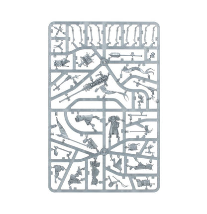 Freeguild Fusiliers – Cities of Sigmar (Warhammer Age of Sigmar)
