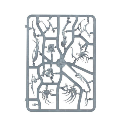 Nighthaunt Spirit Hosts – Warhammer Age of Sigmar