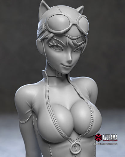 Catwoman (Batman) NSFW