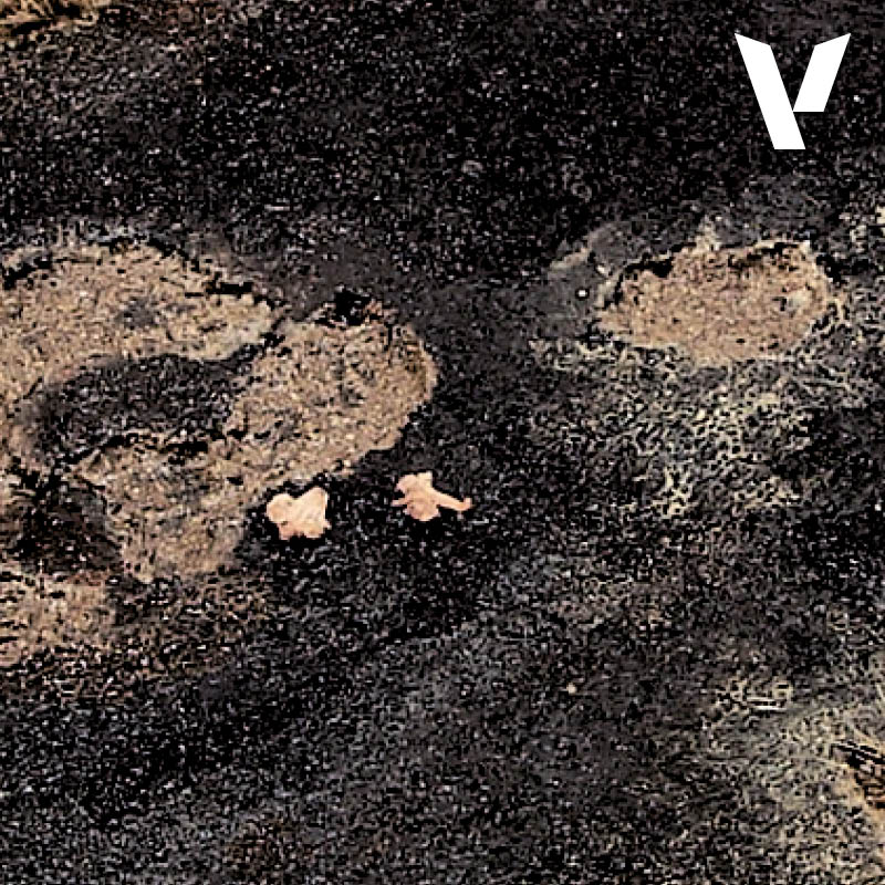 Lava Negra-Asfalto - Vallejo